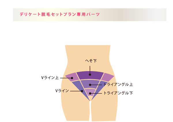 デリケート脱毛セットプラン専用パーツ