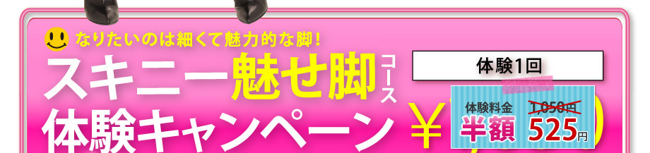 �����ˡ�̥���ӥ������θ������ڡ���1���1,050