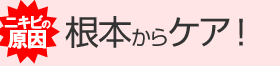 ニキビの原因!根本からケア!