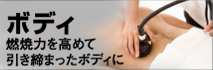 �ܥǥ�