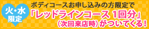 �С�����ꡡ�ܥǥ��������ˤ��������ߤ�������ǡ֥�åɥ饤�󥳡�����1��ʬ�ʼ�����Ź���ˡפ��Ĥ��Ƥ��롪