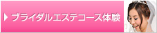 �֥饤���륨���ƥ������θ�