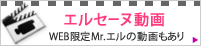 ���륻����ư�衡web���� Mr.�����ư��⤢��