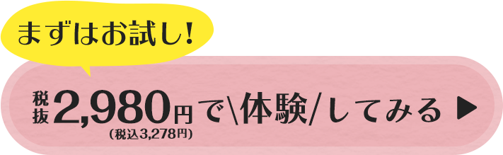 まずはお試し!1,000円(税込)で体験してみる