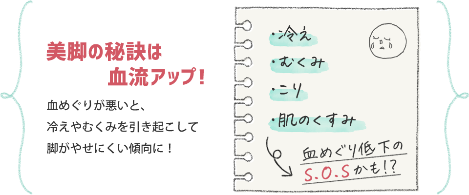 美脚の秘訣は血流アップ!血めぐりが悪いと、冷えやむくみを引き起こして脚がやせにくい傾向に!冷え・むくみ・こり・肌のくすみは血めぐり低下のS.O.Sかも!?