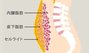 ¡á鲼á饤