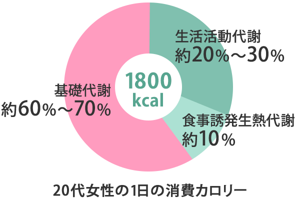 基礎代謝量の低下 エステのエルセーヌ