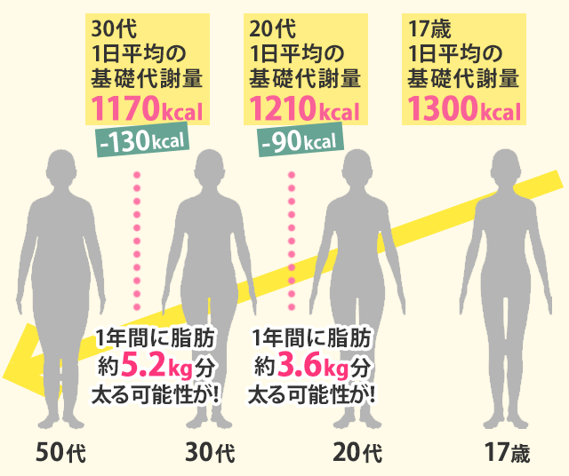 基礎代謝量の低下 エステのエルセーヌ