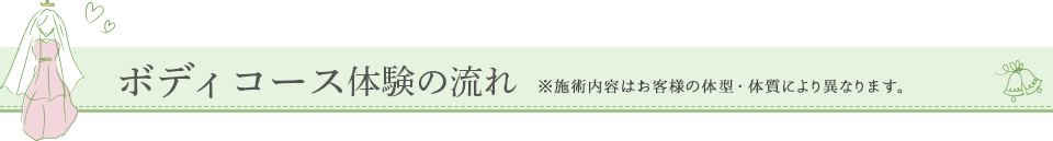 体験コースの流れ　※施術内容はお客様の体型・体質により異なります。