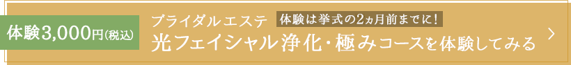ブライダルエステ 光フェイシャル浄化・極みコースを体験してみる 体験3,000円(税込)
