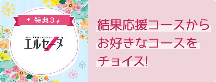 特典3 結果応援コースからお好きなコースをチョイス!