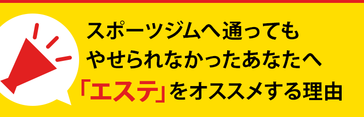 エルセーヌスキン&セルフリー Celvoke】スキンレゾネート リキッドファンデーション＜全4色