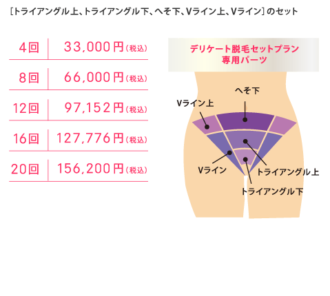 「デリケート脱毛セットプラン」トライアングル上、トライアングル下、へそ下、Vライン上、Vラインのセット