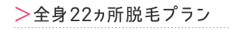 全身22ヵ所脱毛プラン