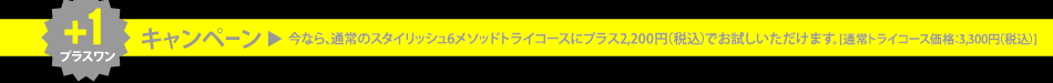 ץ饹󥭥ڡ󡪺ʤ̾Υå6᥽åɥȥ饤ˡ2,200ߡǹˤǤޤ