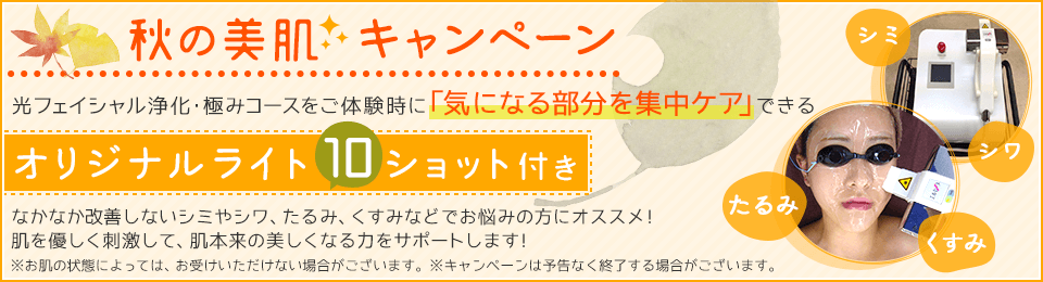 秋の美肌キャンペーン 光フェイシャル浄化・極みコースをご体験時に「気になる部分を集中ケア」できるオリジナルライト10ショット付き